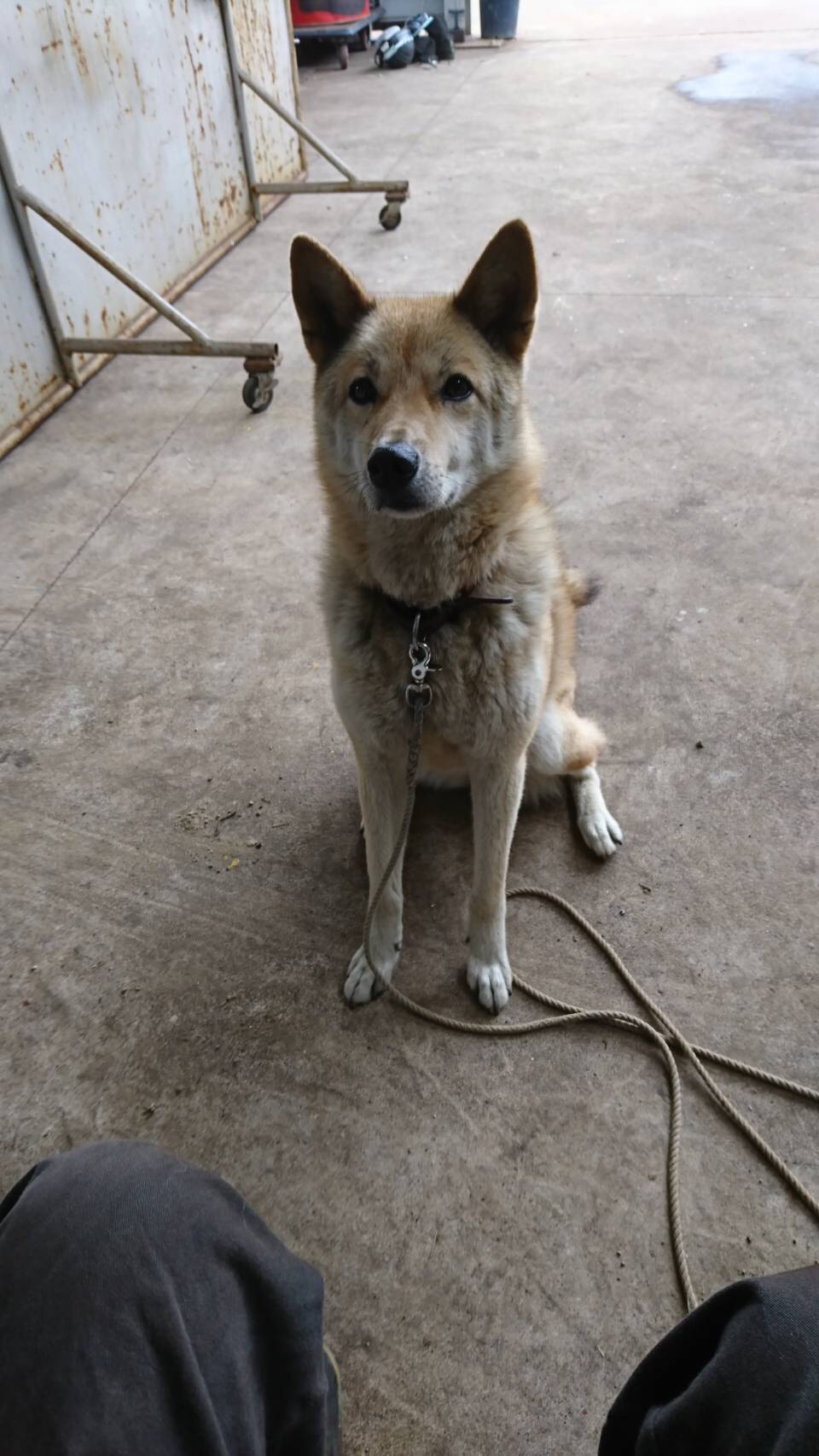 お盆も終わりましたねっ